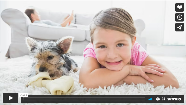 Carpet Cleaning in Idaho Falls